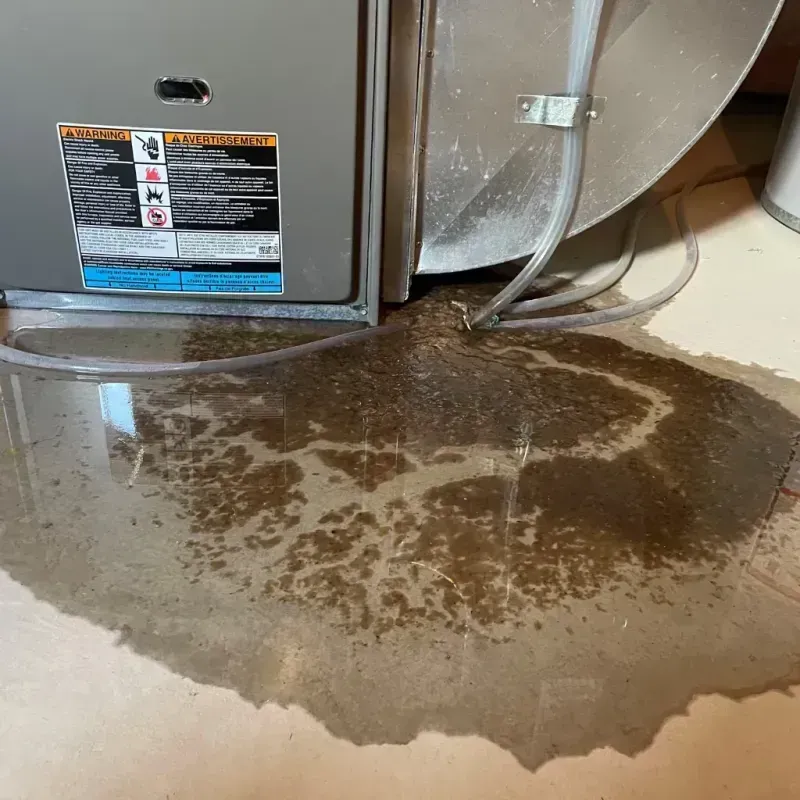 Appliance Leak Cleanup in Mountain Lake Park, MD